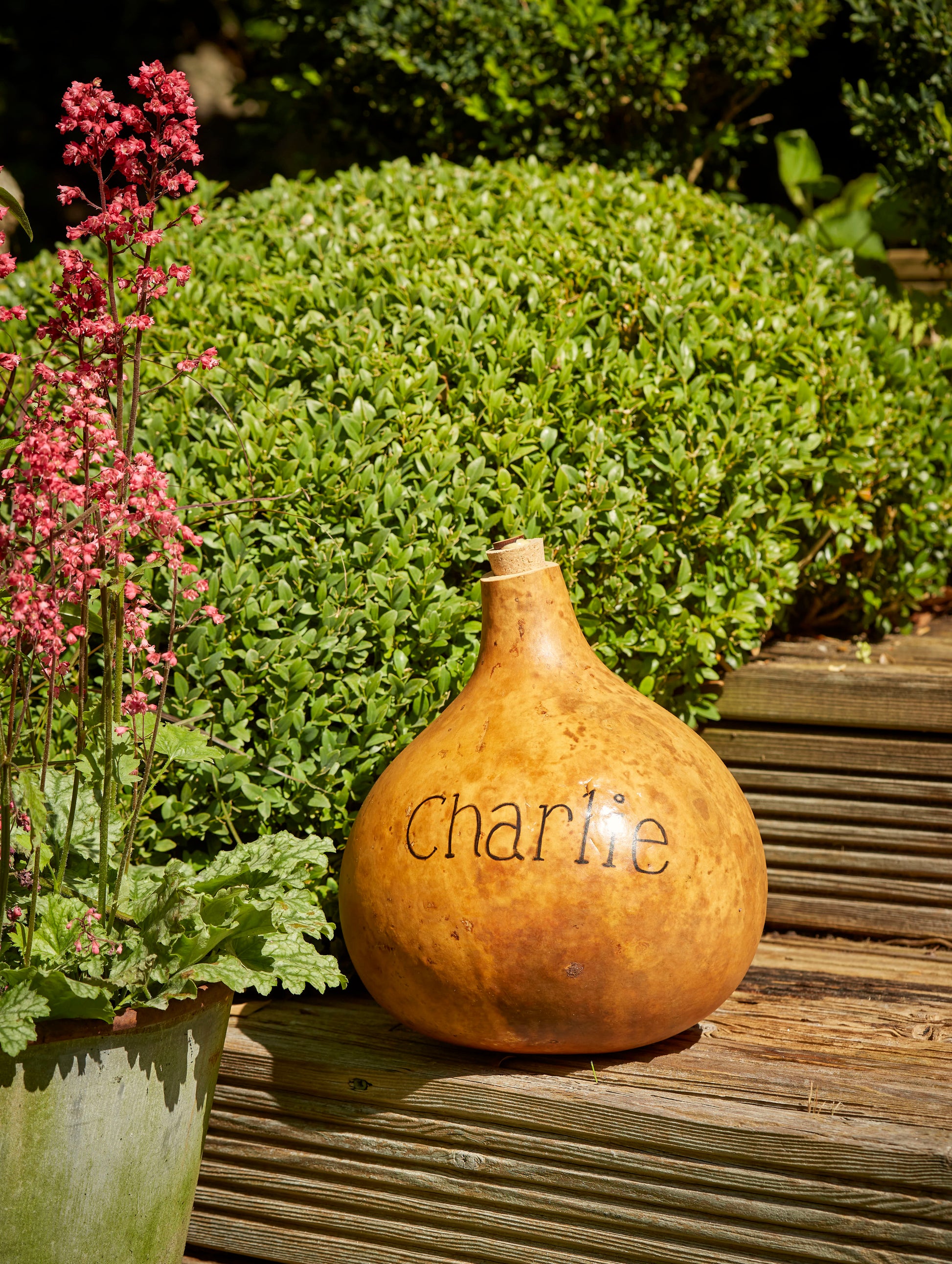 pet ashes plant pot Urn for Pet Ashes – andsowtobed